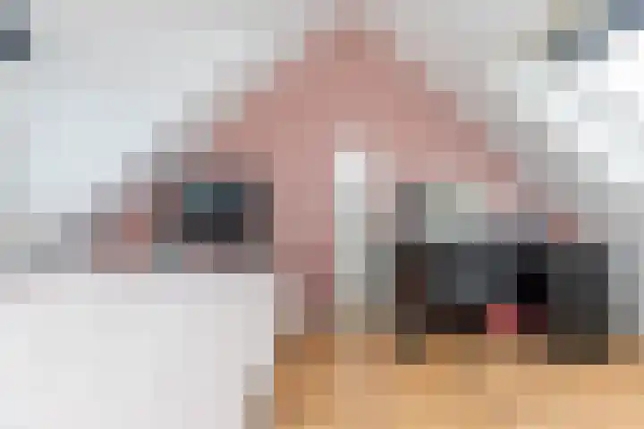 Prof. Teldersstraat 43 Heinenoord thumbnail 37