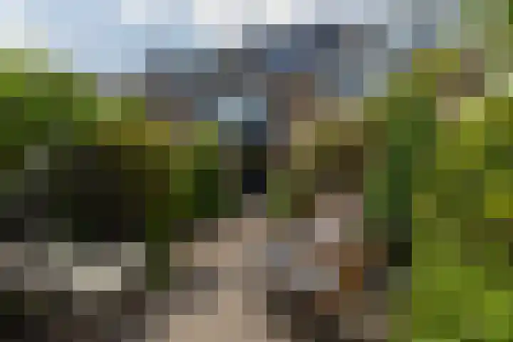 Prof. Teldersstraat 43 Heinenoord thumbnail 40