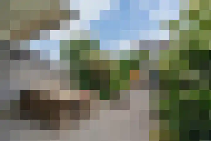 Prof. Teldersstraat 43 Heinenoord thumbnail 41
