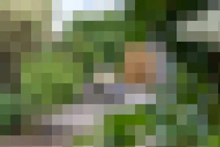 Prof. Teldersstraat 43 Heinenoord thumbnail 42