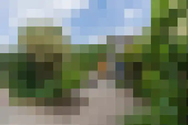 Prof. Teldersstraat 43 Heinenoord thumbnail 44