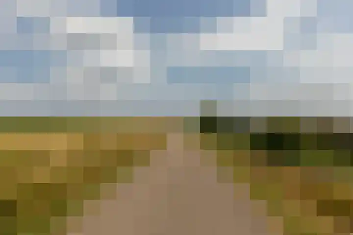 Prof. Teldersstraat 43 Heinenoord thumbnail 51