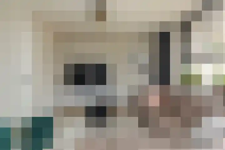 Prof. Teldersstraat 43 Heinenoord thumbnail 9