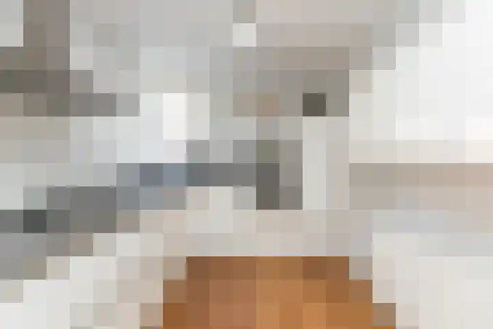 Prof. Teldersstraat 45 Heinenoord thumbnail 13