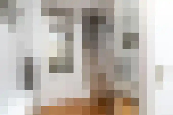 Prof. Teldersstraat 45 Heinenoord thumbnail 16