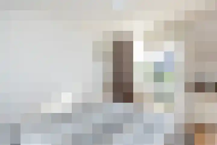 Prof. Teldersstraat 45 Heinenoord thumbnail 19