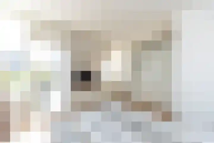 Prof. Teldersstraat 45 Heinenoord thumbnail 20