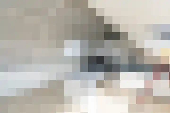 Prof. Teldersstraat 45 Heinenoord thumbnail 30