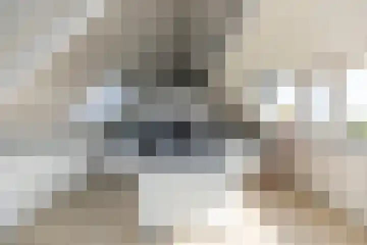 Prof. Teldersstraat 45 Heinenoord thumbnail 31