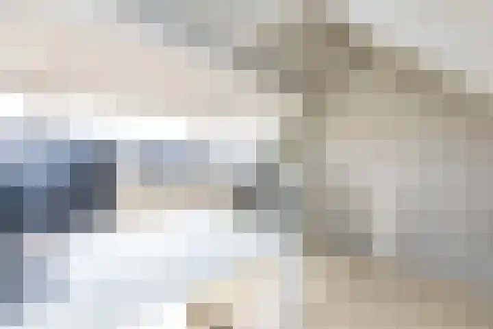 Prof. Teldersstraat 45 Heinenoord thumbnail 33