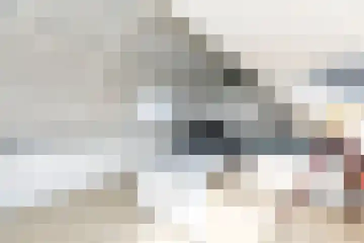 Prof. Teldersstraat 45 Heinenoord thumbnail 35
