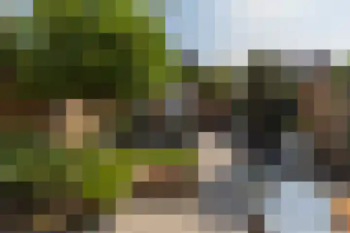 Prof. Teldersstraat 45 Heinenoord thumbnail 37