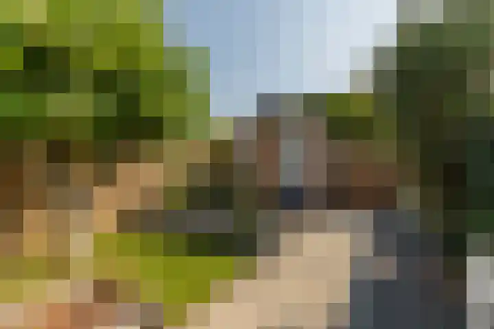 Prof. Teldersstraat 45 Heinenoord thumbnail 38