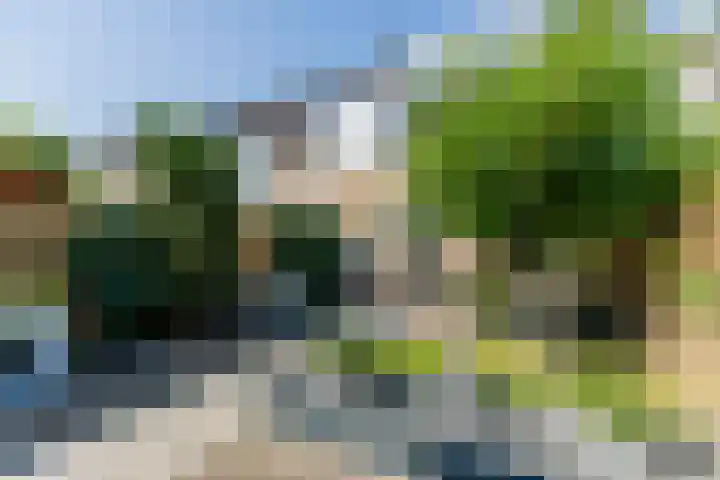 Prof. Teldersstraat 45 Heinenoord thumbnail 41