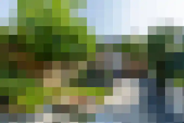 Prof. Teldersstraat 45 Heinenoord thumbnail 42