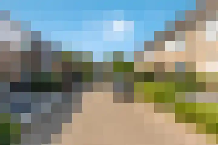 Prof. Teldersstraat 45 Heinenoord thumbnail 45