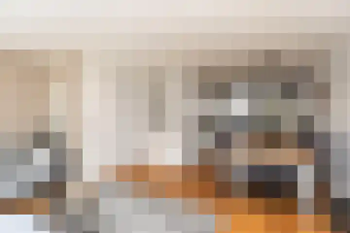 Prof. Teldersstraat 45 Heinenoord thumbnail 6