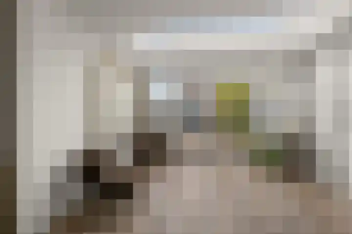 Prof ten Doesschatestraat 101 Heemskerk thumbnail 11