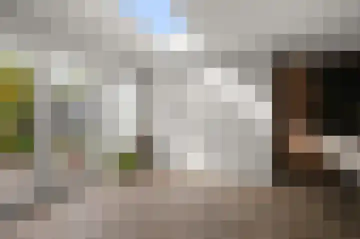 Prof ten Doesschatestraat 101 Heemskerk thumbnail 12