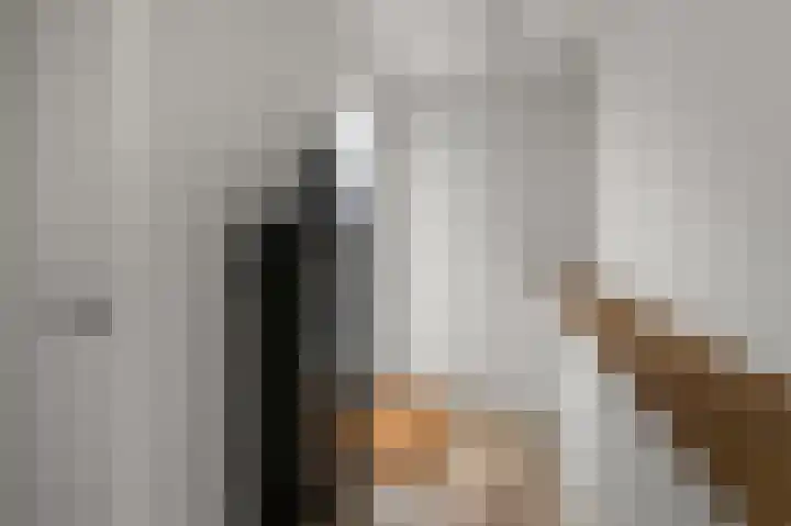 Prof ten Doesschatestraat 101 Heemskerk thumbnail 13