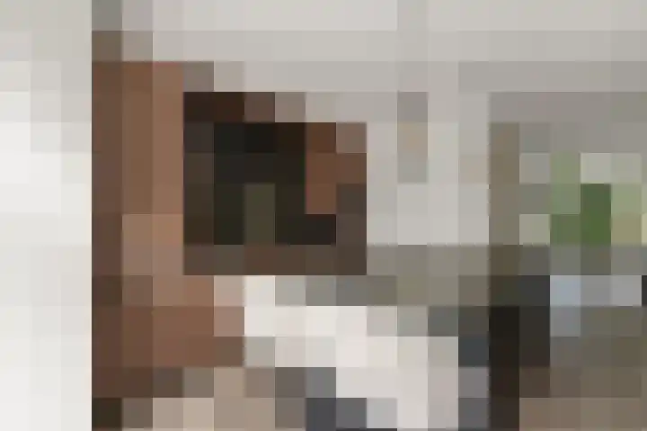 Prof ten Doesschatestraat 101 Heemskerk thumbnail 16