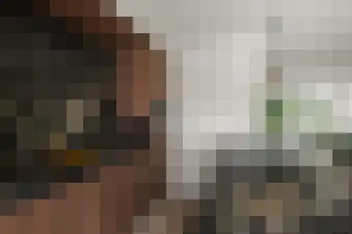 Prof ten Doesschatestraat 101 Heemskerk thumbnail 17