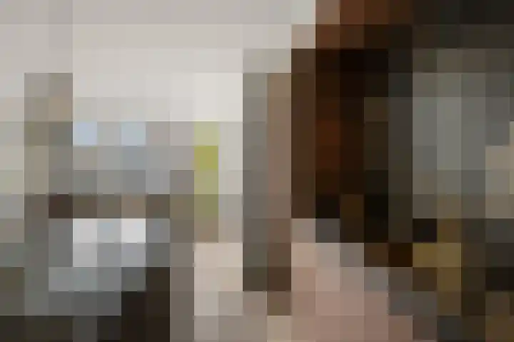 Prof ten Doesschatestraat 101 Heemskerk thumbnail 18