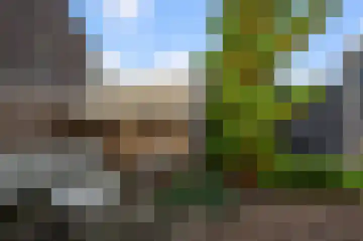 Prof ten Doesschatestraat 101 Heemskerk thumbnail 21