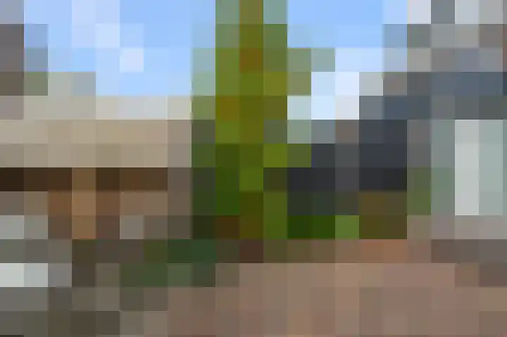 Prof ten Doesschatestraat 101 Heemskerk thumbnail 22