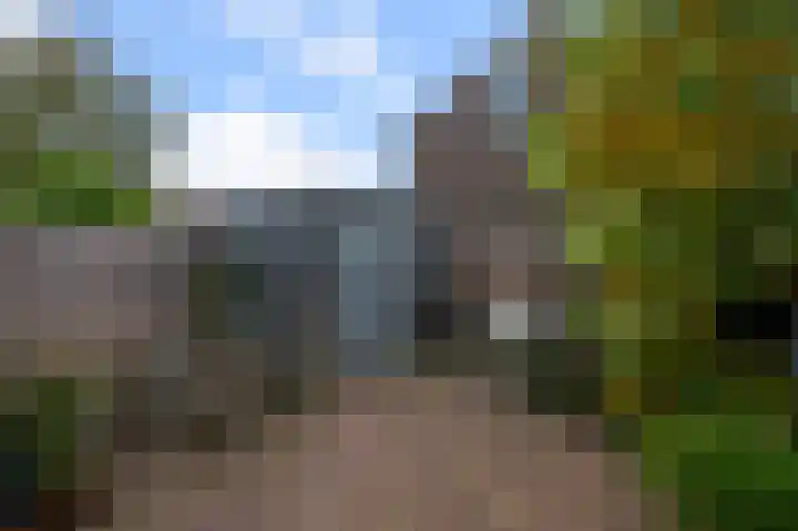 Prof ten Doesschatestraat 101 Heemskerk thumbnail 24