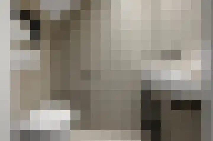 Prof ten Doesschatestraat 101 Heemskerk thumbnail 32