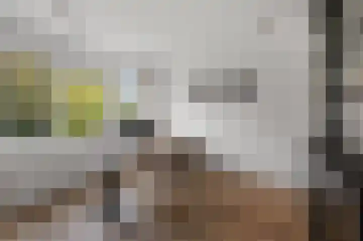 Prof ten Doesschatestraat 101 Heemskerk thumbnail 35