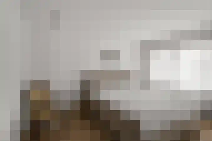 Prof ten Doesschatestraat 101 Heemskerk thumbnail 38
