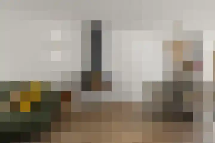Prof ten Doesschatestraat 101 Heemskerk thumbnail 4