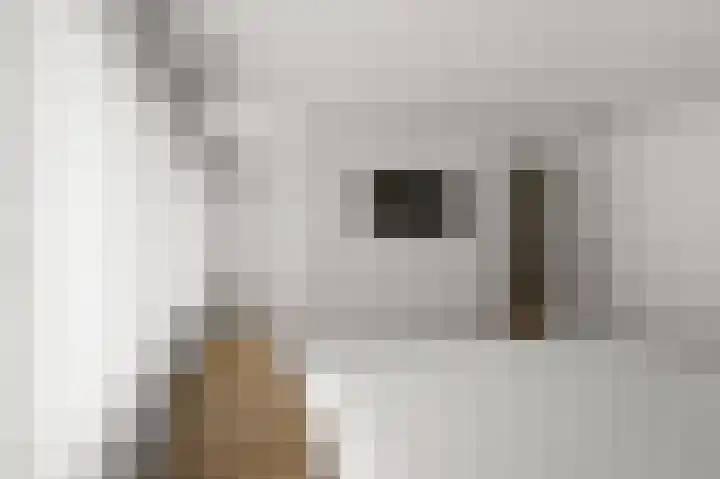 Prof ten Doesschatestraat 101 Heemskerk thumbnail 42