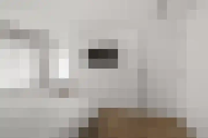 Prof ten Doesschatestraat 101 Heemskerk thumbnail 43