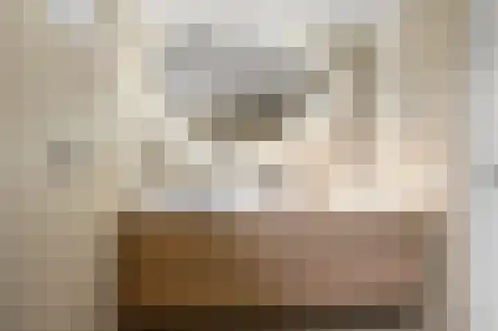 Prof ten Doesschatestraat 101 Heemskerk thumbnail 44