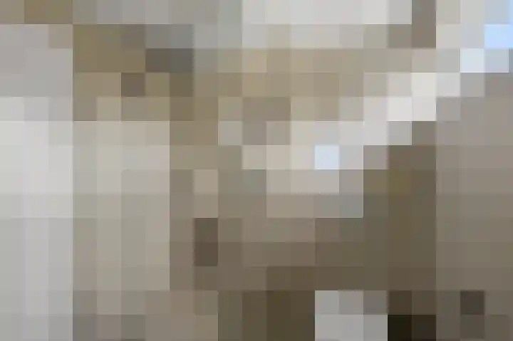 Prof ten Doesschatestraat 101 Heemskerk thumbnail 46