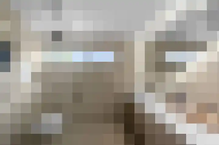 Prof ten Doesschatestraat 101 Heemskerk thumbnail 47