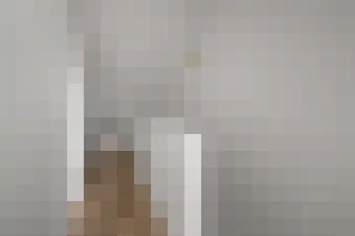 Prof ten Doesschatestraat 101 Heemskerk thumbnail 49