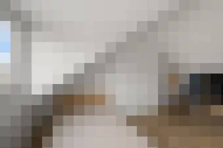 Prof ten Doesschatestraat 101 Heemskerk thumbnail 50