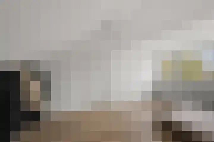 Prof ten Doesschatestraat 101 Heemskerk thumbnail 52