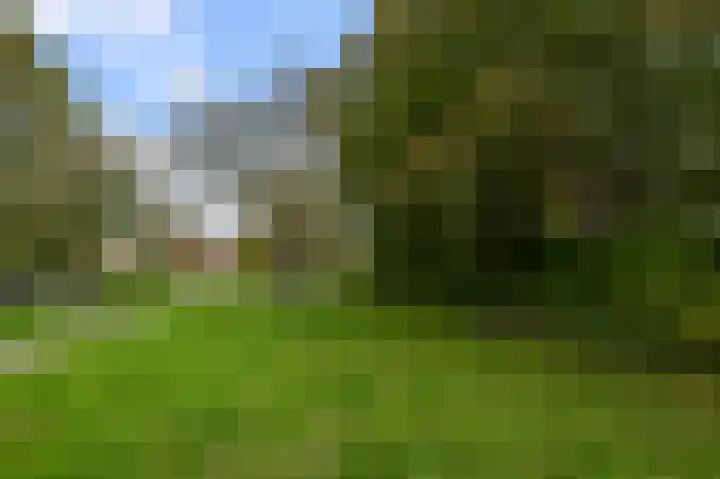 Prof ten Doesschatestraat 101 Heemskerk thumbnail 53