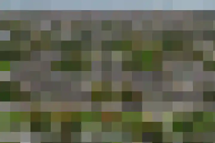 Prof ten Doesschatestraat 101 Heemskerk thumbnail 55