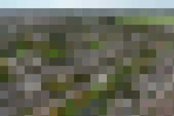 Prof ten Doesschatestraat 101 Heemskerk thumbnail 56