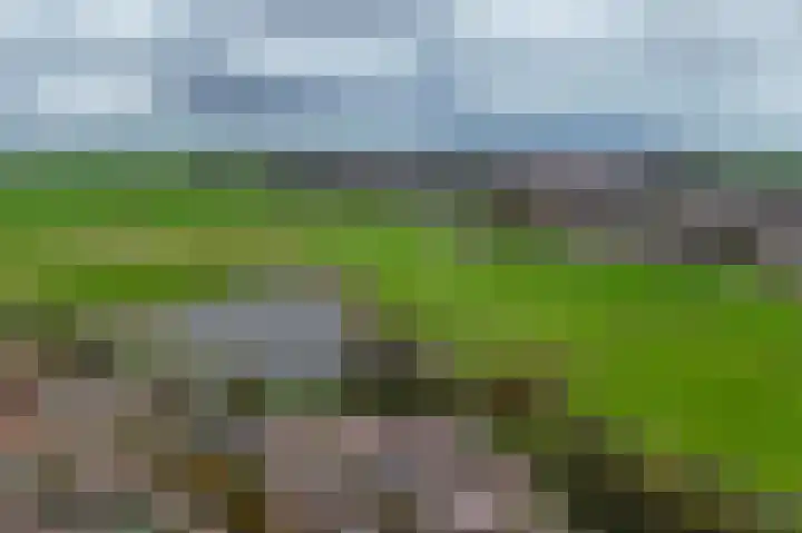 Prof ten Doesschatestraat 101 Heemskerk thumbnail 58