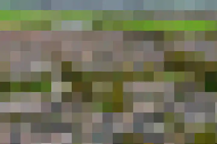 Prof ten Doesschatestraat 101 Heemskerk thumbnail 60
