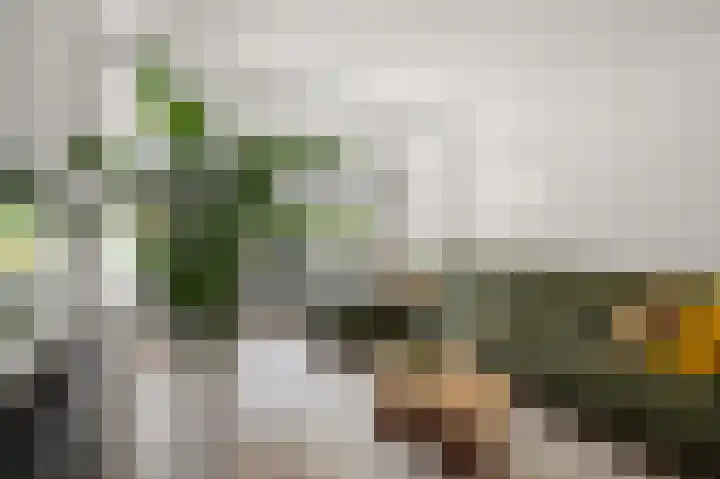 Prof ten Doesschatestraat 101 Heemskerk thumbnail 7