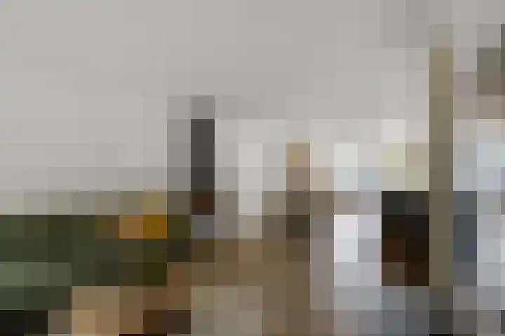 Prof ten Doesschatestraat 101 Heemskerk thumbnail 8