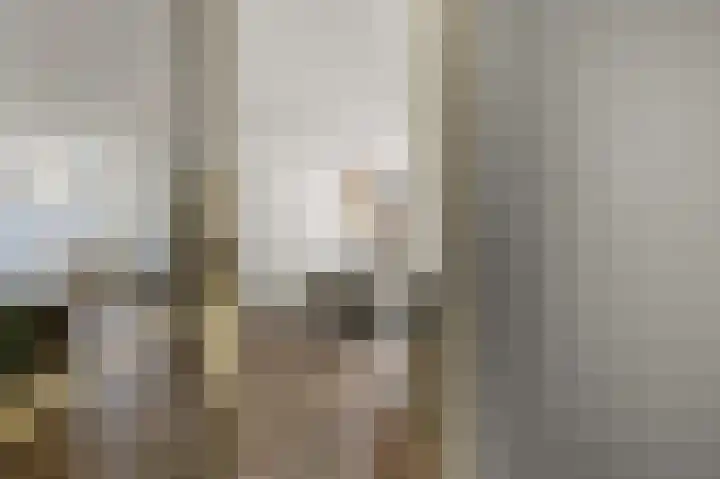 Prof ten Doesschatestraat 101 Heemskerk thumbnail 9